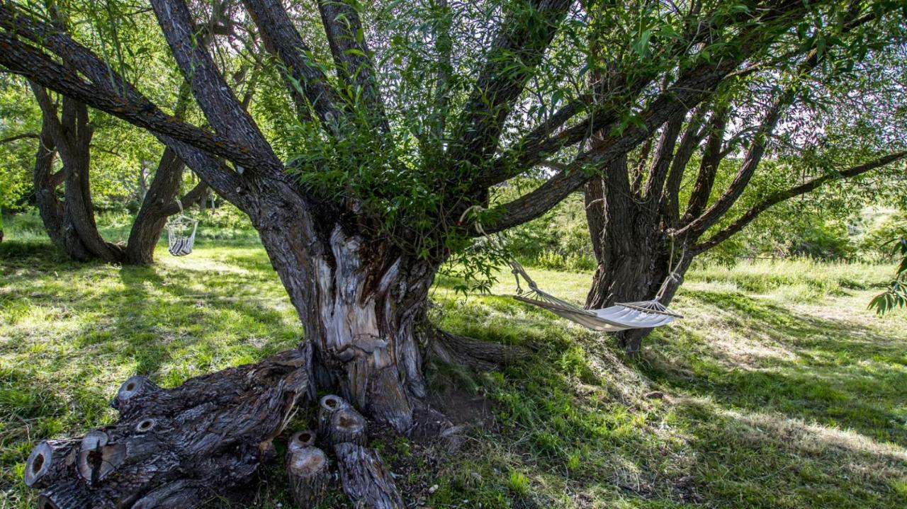 Masia El Cabrero Villarroya de los Pinares Екстер'єр фото